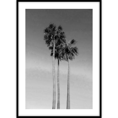 Ingelijste poster van palmbomen in zwart wit.