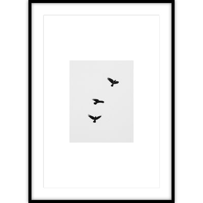 Zwart-wit poster van drie vliegende vogels in de lucht.