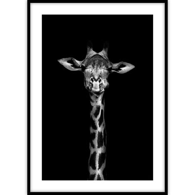 Ingelijste verticale poster van een lange giraffe in zwart-wit.