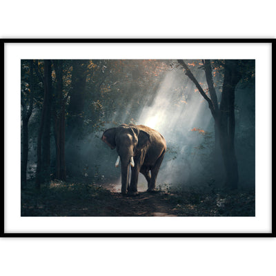 Schilderij van een olifant in het bos met zon op de achtergrond.