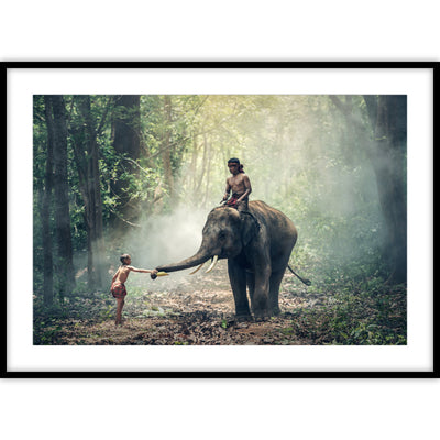 Ingelijste foto van een man op de rug van een olifant in Thailand.