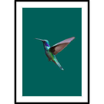 Ingelijste poster van een vliegende kolibri op groene achtergrond.