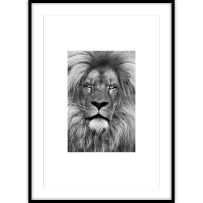 Ingelijste poster van een leeuwenkop in zwart-wit.