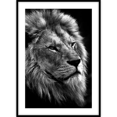 Poster met een portret van een indrukwekkende leeuw in zwart-wit kleurentinten op een zwarte achtergrond.