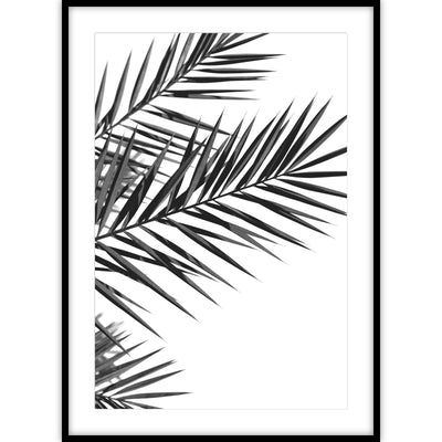 Een zwart-wit poster met een foto van palmbladeren op een witte achtergrond.
