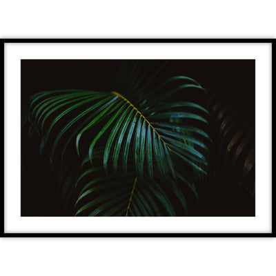 Een poster met diverse donkergroene palmbladeren op een donkere achtergrond.
