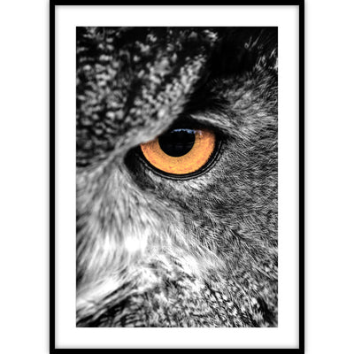 Een poster van een close-up van een uil in grijstinten met als middelpunt een fel oranje oog.