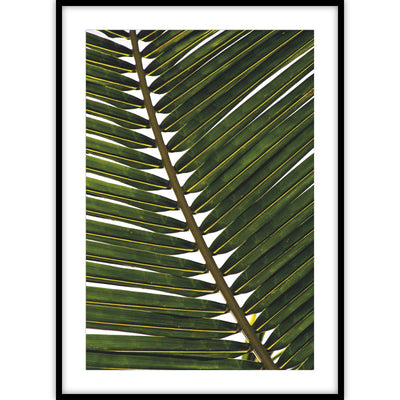 Een ingelijste poster van een close-up van een gedetailleerd palm blad in de kleur groen.