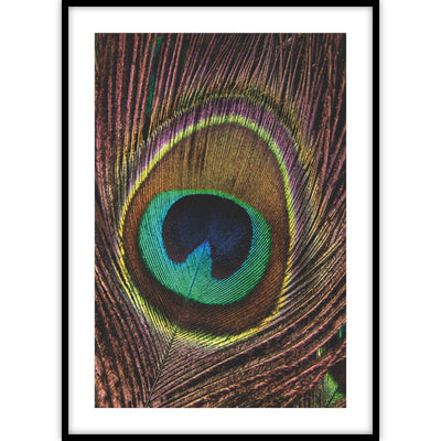Een close-up van een gedetailleerde pauwenveer op een ingelijste poster.