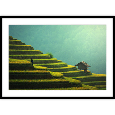 Ingelijste poster met een uitzicht over groene rijstvelden ergens in een Aziatisch land.