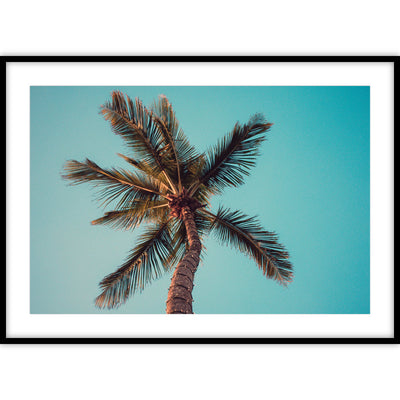 Ingelijste poster met kleurenfoto van een tropische palmboom op een helderblauwe achtergrond.