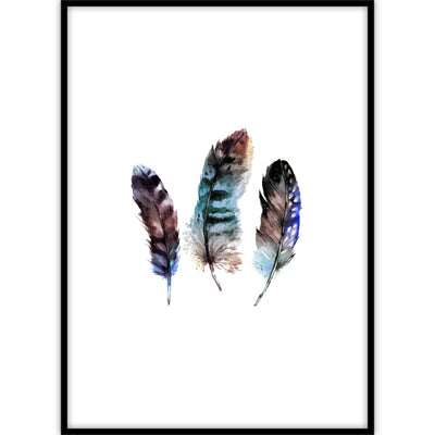 Ingelijste poster met een grafische illustratie van veren in verschillende waterverf kleuren.