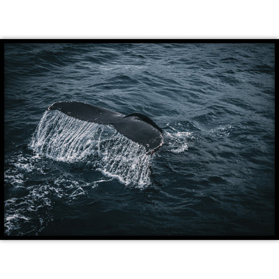 Een bijzondere fotoposter van de staart van een walvis die boven de blauwe zee uitsteekt in een zwarte lijst.